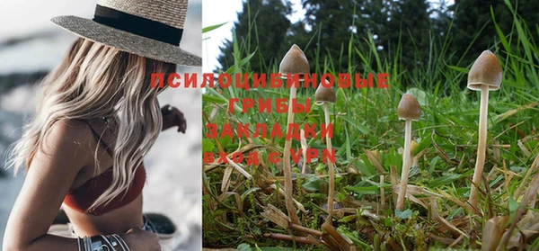 соль ск Верхний Тагил