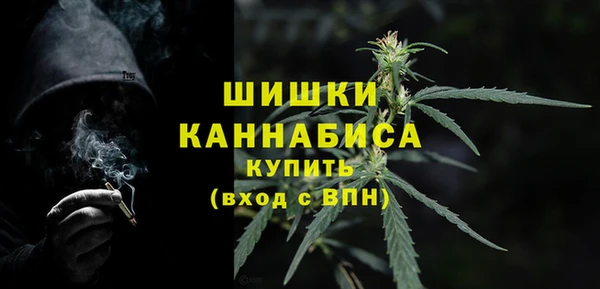 соль ск Верхний Тагил