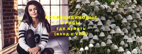 ешки Верея