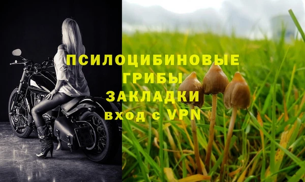 соль ск Верхний Тагил