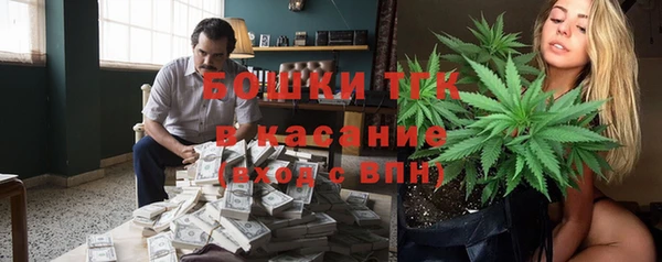 соль ск Верхний Тагил