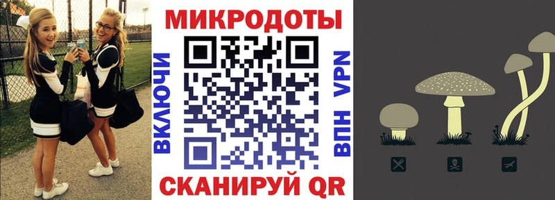 Купить  Макаров  Галлюциногенные грибы мухоморы 