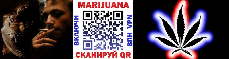 Купить  Макаров  Конопля гибрид 
